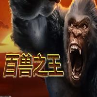 快速游戏安装服务